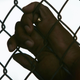 Illustration for article titled State Prisons Fueled Covid-19 Spread in Their Areas Last Spring, Study Suggests
